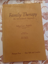 Family Therapy An Interactional Approach