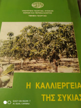 Η καλλιέργεια της συκίας