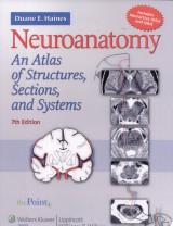 Neuroanatomy