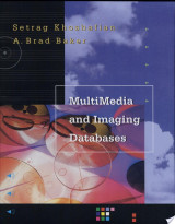 Multimedia and Imaging Databases