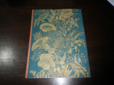 Coventry University / Annual Review 1993 / 150 years of progress