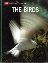 The birds