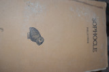 Sophocle Philoctete