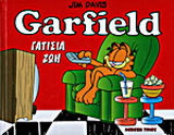 Garfield, γατίσια ζωή
