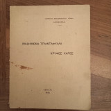 Μαδημενα τριαντάφυλλα, κρυφες χαρες