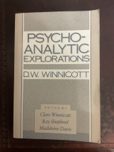 Psychoanalytic Explorations