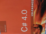 C 4.0 unleashed