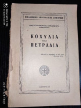 Κοχύλια και πετράδια