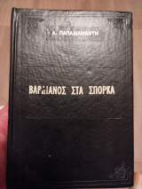 Βαρδιάνος στα σπόρκα