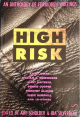 High Risk - An Anthology of Forbidden Writings