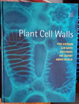 Plant Cell Walls