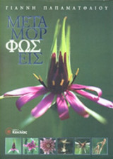ΜΕΤΑΜΟΡΦΩΣΕΙΣ (ΑΓΡΙΟΛΟΥΛΟΥΔΑ)