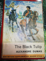 The Black Tulip