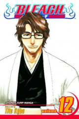 Bleach, Vol. 12 v. 12