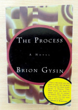The Process: A Novel
