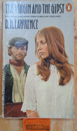 The virgin and the gipsy