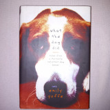 What the dog did (tales from a formerly reluctant dog owner)