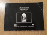Champaner. A mediaeval capital
