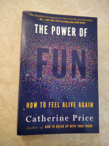 The Power of Fun
