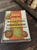 Καλλιέργεια των εσπεριδοειδών