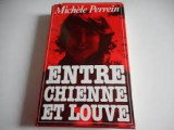 Entre chienne et louve