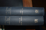 The Iliad vol i & ii