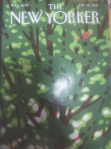 The New Yorker July 2021