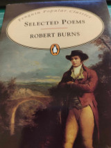 Burns: Selected Poems (popular Classics) (0140622004)