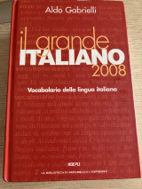 Il grande Italiano 2008