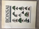 Bonsai for Beginners