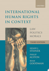 International Human Rights in Context