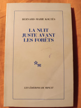 La nuit juste avant les forêts