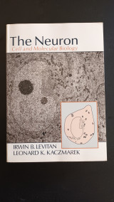 The Neuron