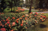 Κάρτα - Sterling Forest Gardens (2) - 1969 - New York - U.S.A.
