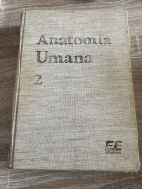 Anatomia unama