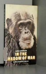 In the shadow of man