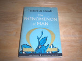 The Phenomenon of Man