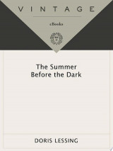 The Summer Before the Dark