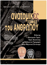 Ανατομικές τομές του ανθρώπου
