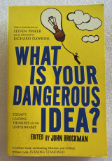 What is your dangerous idea?