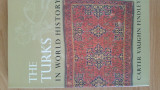 The Turks in World History