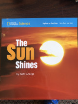 The sun shined