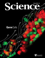 Science, Volume 316, No.5823, 20 April 2007