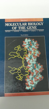 Molecular biology of the gene
