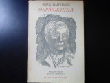 ΘΕΡΜΟΚΗΠΙΑ