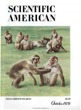 Scientific American October 1976