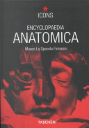 Eine Auswahl Anatomischer Wachse