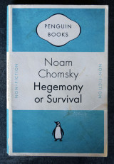 Hegemony or Survival