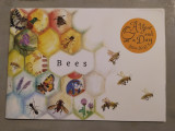 Bees a Year and a Day Issue No 6