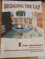 Bridging the Gap Teacher's book (2 books)